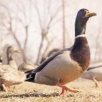 加入7天娱乐官网,享受丰富多彩的游戏选择与丰厚奖励 4rgh3g2x