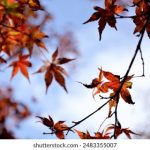 千亿体育app下载的优势与特色,助你轻松追踪赛事动态 7g353