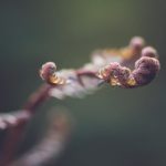 澳亚国际注册:助力企业全球化发展的全新选择 8lq8hjd