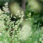 信誉皇都赌场:玩家口碑与游戏体验的完美结合 f9utnqnt1p